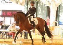 SERON, DE Y. ANTONIO MORERA VALLEJO, CAMPEON ABSOLUTO DE FUNCIONALIDAD. MONTA EMILIO ORDONEZ